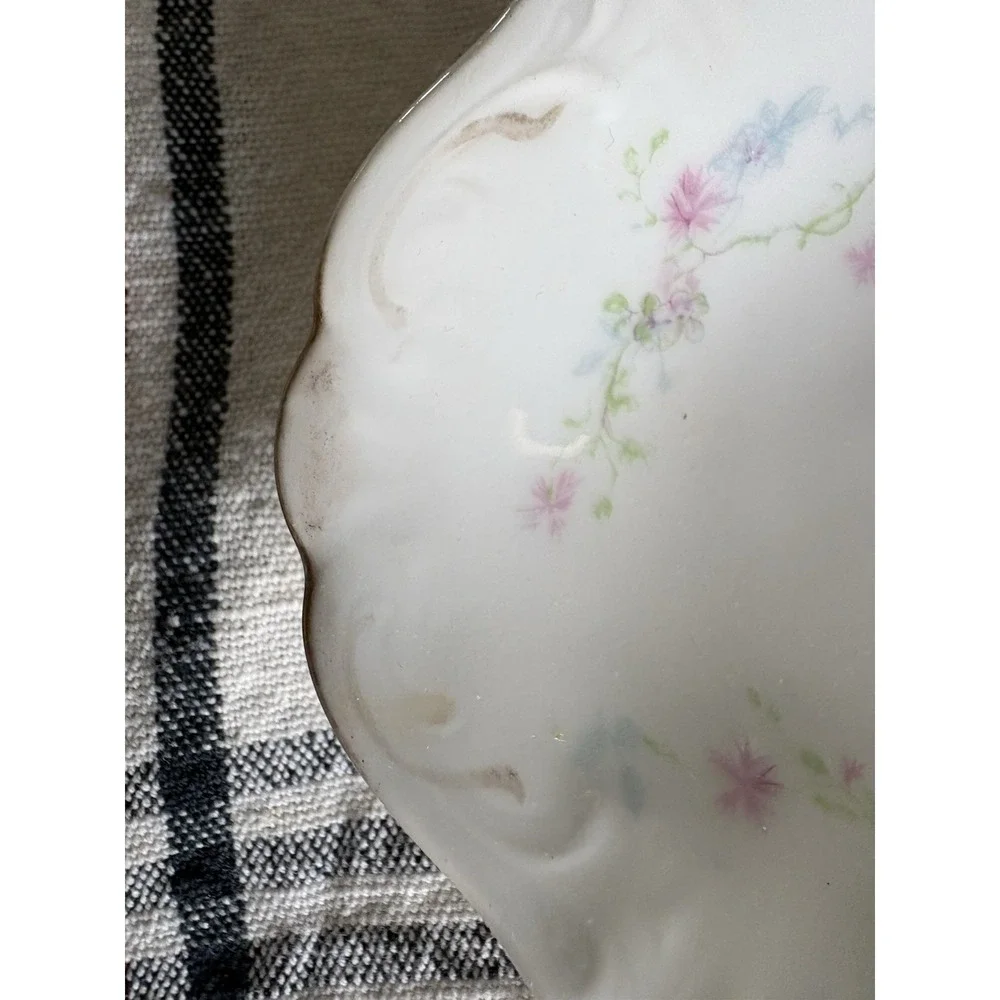 Haviland Limoges beautiful theodore